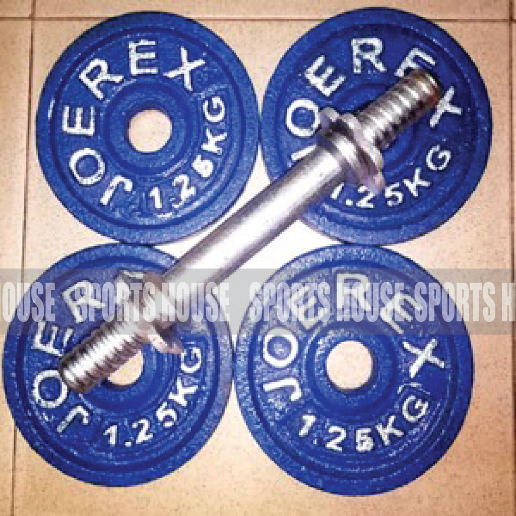 Blue Dumbbell Plate 5 kg with Stick Sports House